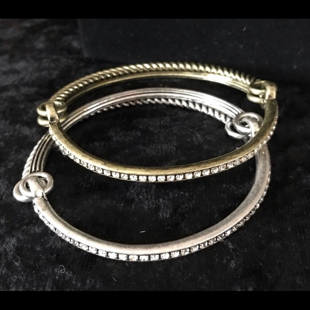 Premier Designs Dynamic Duo